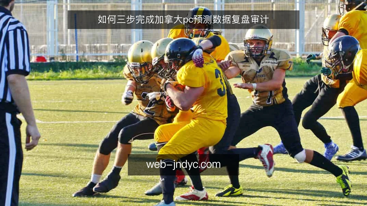 如何三步完成加拿大pc预测数据复盘审计