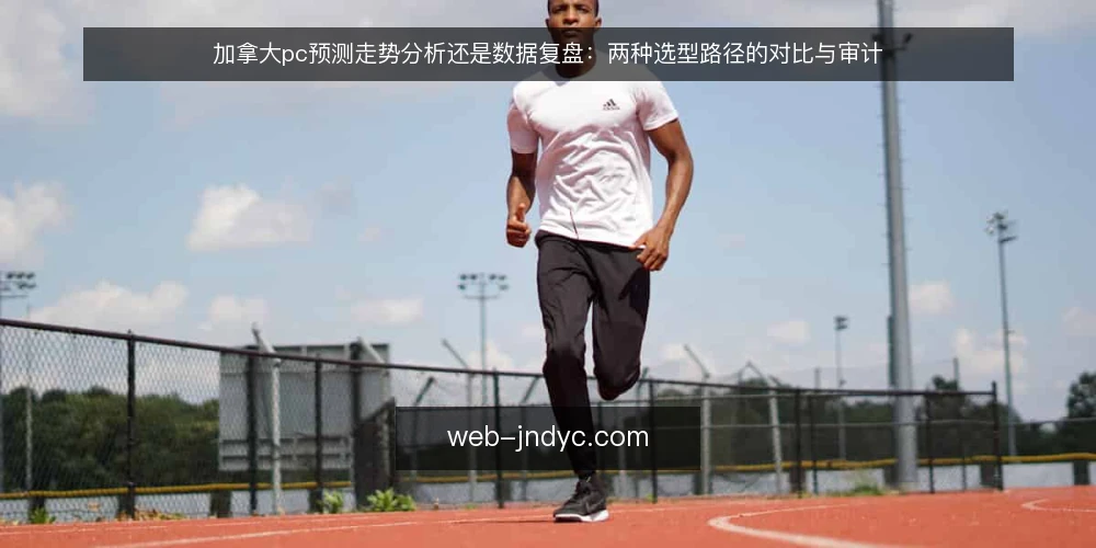 加拿大pc预测走势分析还是数据复盘:两种选型路径的对比与审计 — 为什么要现在审计你的加拿大pc预测选型 配图