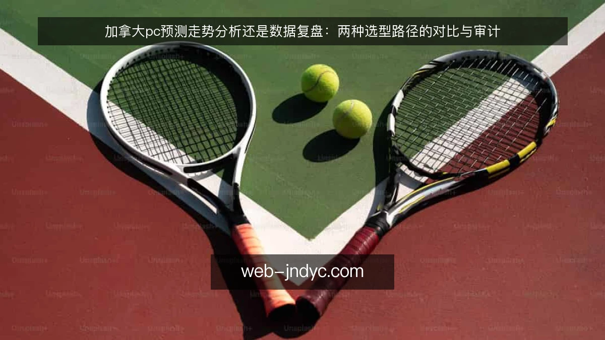 加拿大pc预测走势分析还是数据复盘：两种选型路径的对比与审计