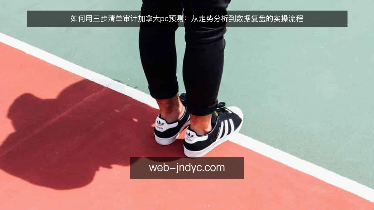 如何用三步清单审计加拿大pc预测：从走势分析到数据复盘的实操流程