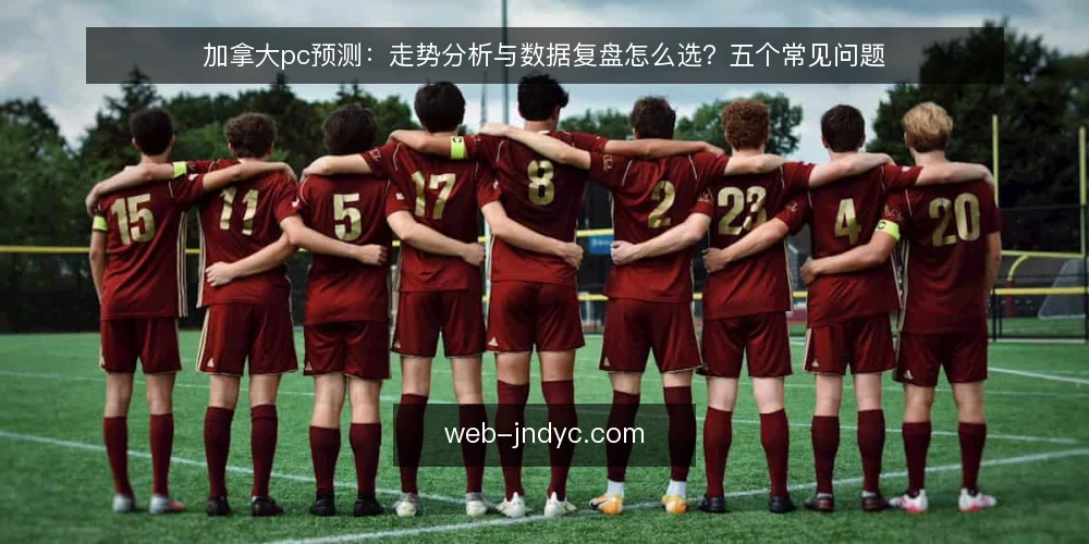 加拿大pc预测：走势分析与数据复盘怎么选？五个常见问题 — 选型前先定哪几条判断标准？ 配图